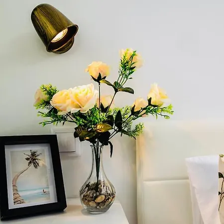 Painter 3 Bedroom Apartment In Lisbon *